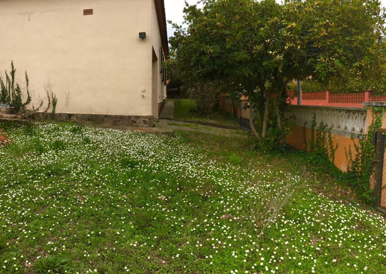 Casa Amb Gran Jardi A Vilauer-Costa Brava - Alt Emporda Vilaur Екстериор снимка