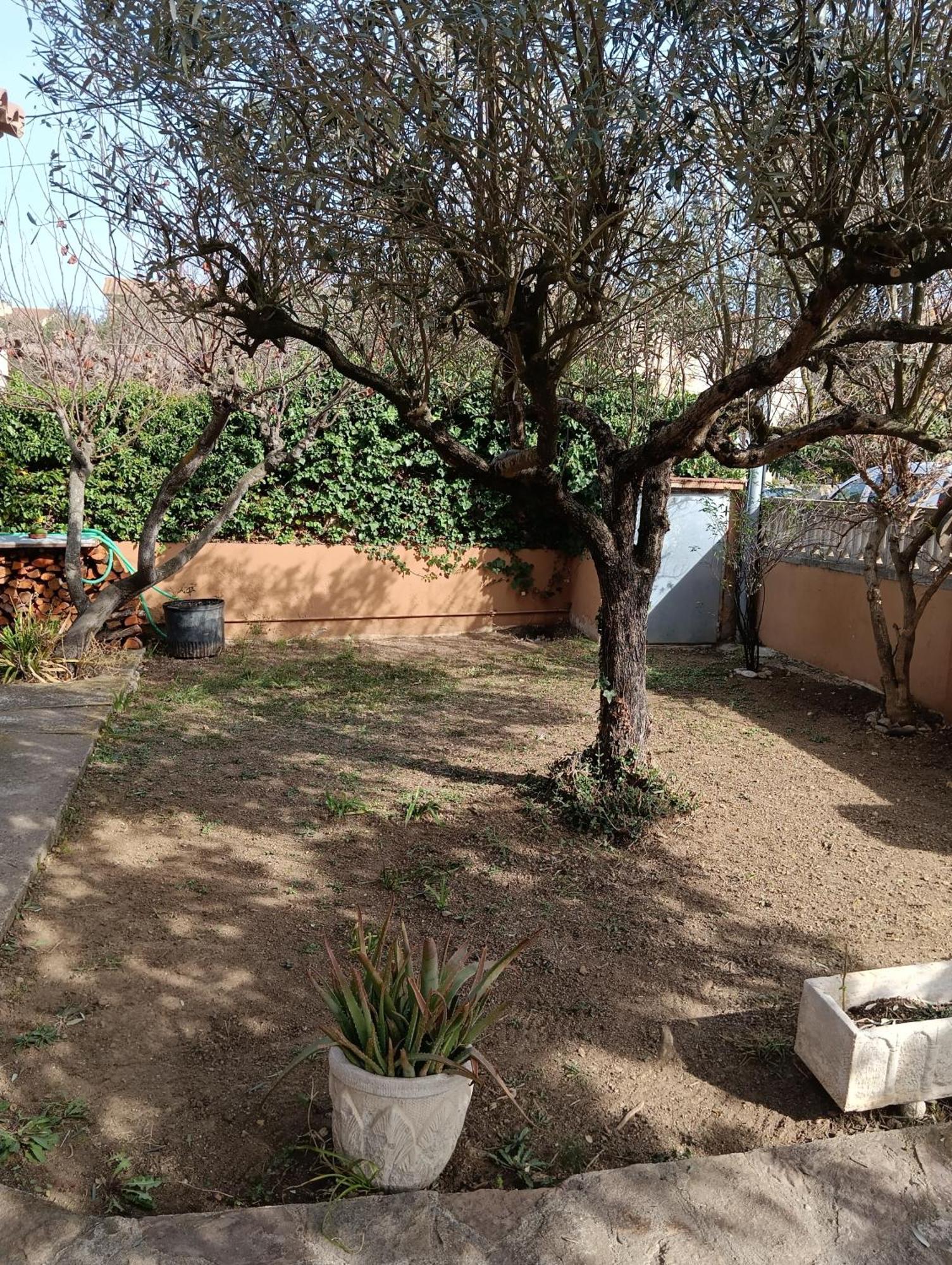Casa Amb Gran Jardi A Vilauer-Costa Brava - Alt Emporda Vilaur Екстериор снимка