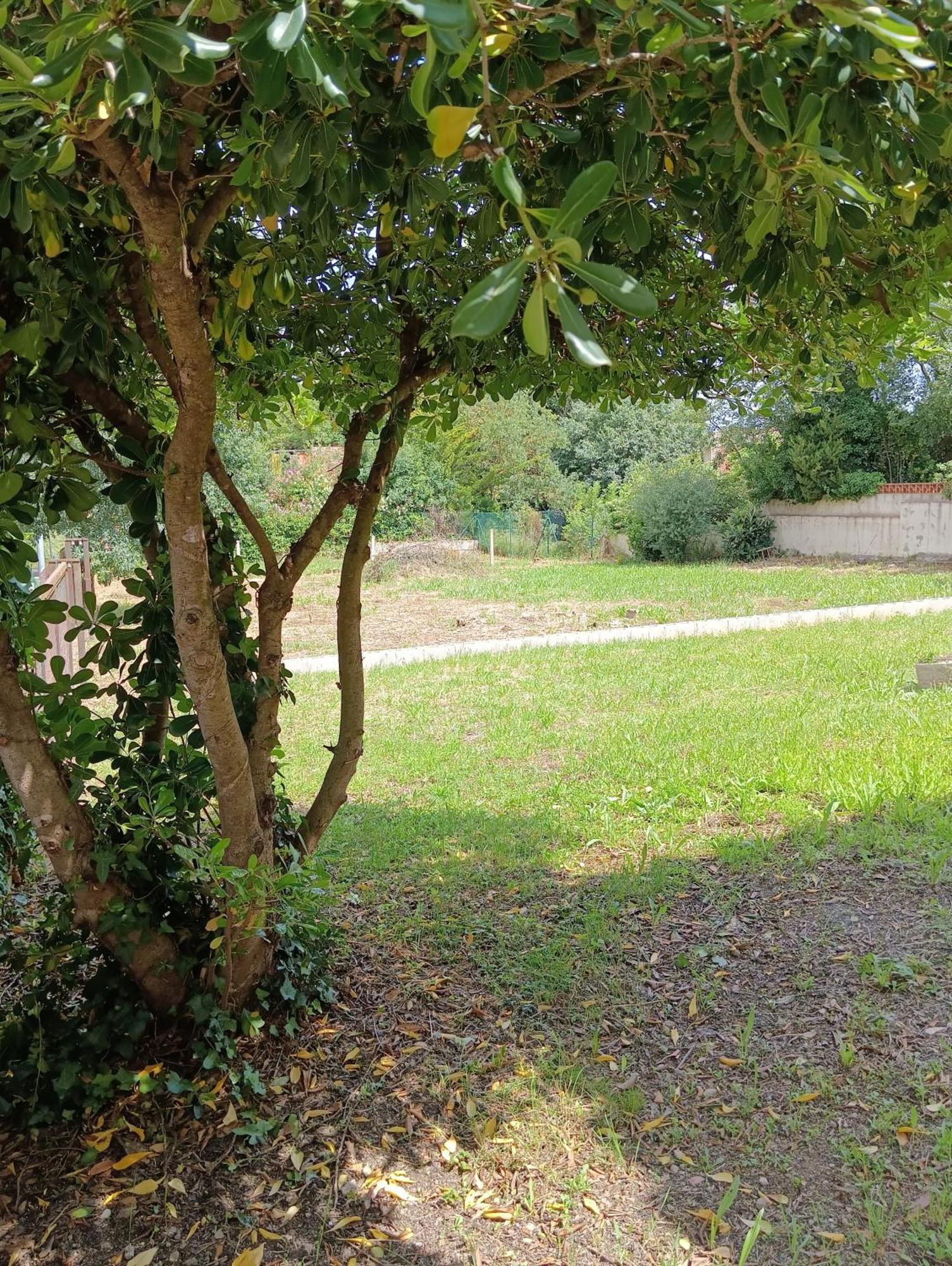 Casa Amb Gran Jardi A Vilauer-Costa Brava - Alt Emporda Vilaur Екстериор снимка