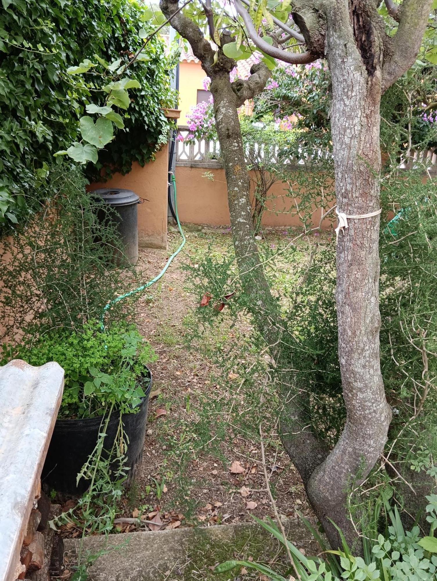 Casa Amb Gran Jardi A Vilauer-Costa Brava - Alt Emporda Vilaur Екстериор снимка