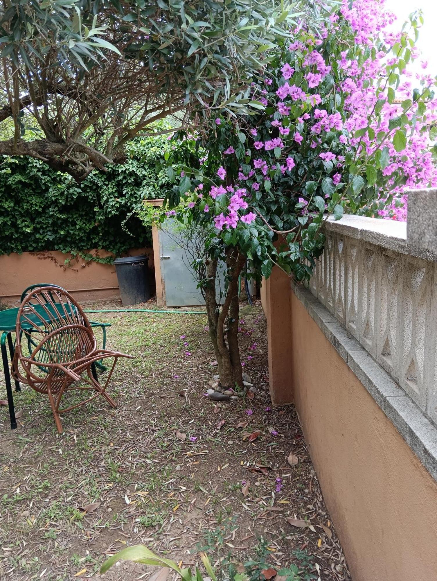 Casa Amb Gran Jardi A Vilauer-Costa Brava - Alt Emporda Vilaur Екстериор снимка